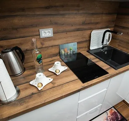 Mikic Apartment *